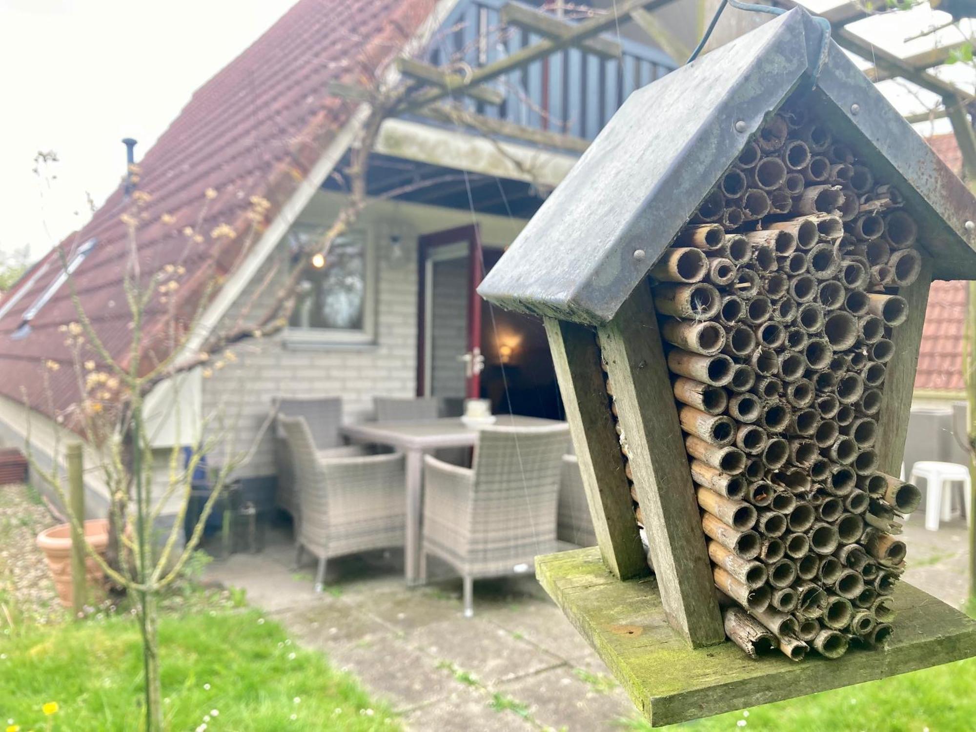 De Druif 6 Pers Holiday Home Close To The National Park Lauwersmeer Anjum Kültér fotó